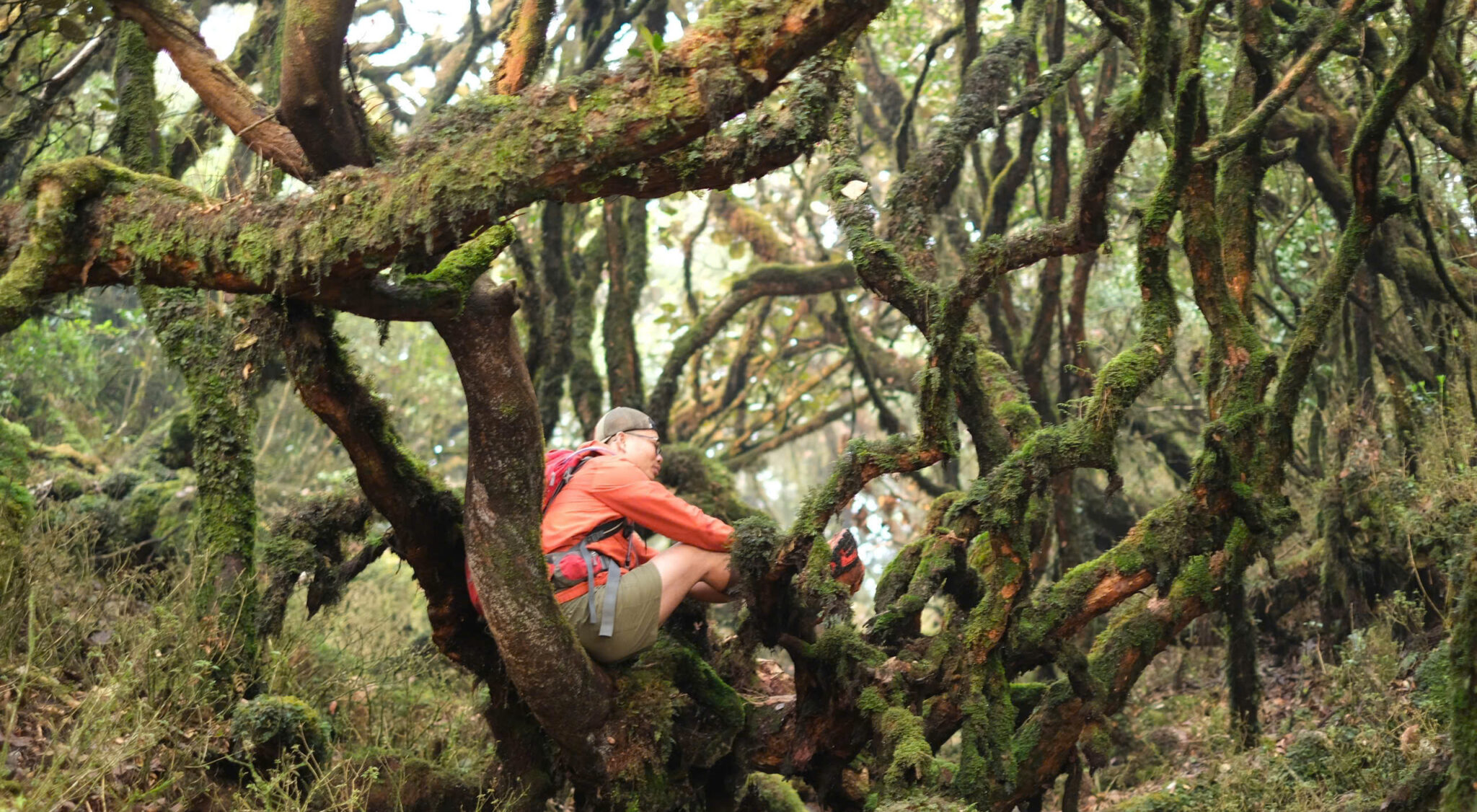 Trekking rừng cổ tích Samu 2N2Đ