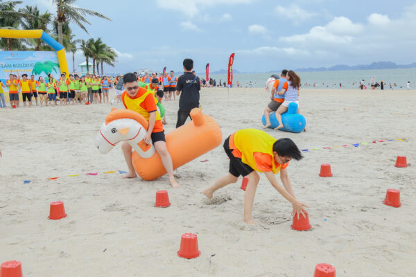 Teambuilding Hạ Long
