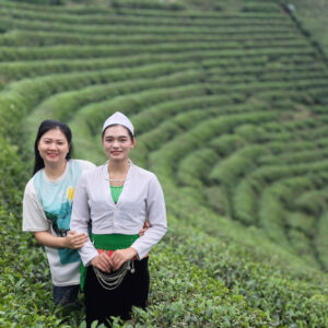 Long Cốc, đối móng ngựa